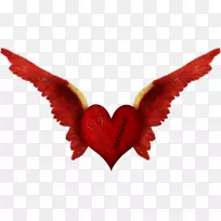 心爱情人节摄影-鸽子-空若网 心爱情人节摄影-鸽子-空若网