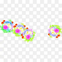 彩色温馨花朵植物-空若网 彩色温馨花朵植物-空若网