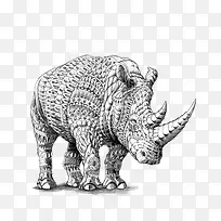 动物手绘-空若网 动物手绘-空若网