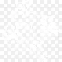 白色漂亮烟雾-空若网 白色漂亮烟雾-空若网