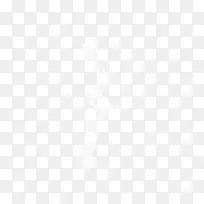 ��ɫ����-������