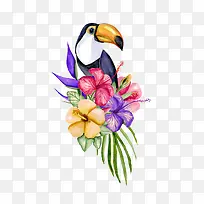 水彩花鸟装饰-空若网 水彩花鸟装饰-空若网