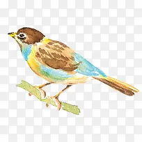 水彩手绘花鸟装饰元素-空若网 水彩手绘花鸟装饰元素-空若网