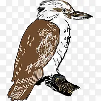 �ɰ���ȸ-������