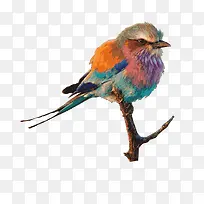 ˮ����ȸ-������