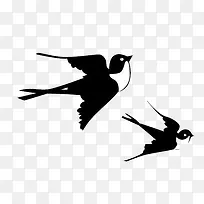 燕子-空若网 燕子-空若网