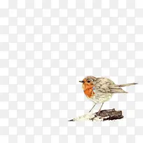 �ֻ���ȸ-������