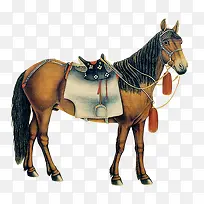 高清创意摄影在休息的小马-空若网 高清创意摄影在休息的小马-空若网