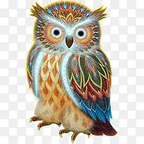 卡通手绘老鹰-空若网 卡通手绘老鹰-空若网