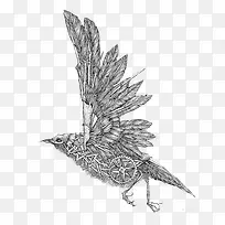 动物手绘-空若网 动物手绘-空若网