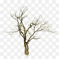 ������Ӱ����ϳ���ľ-������