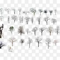 高清摄影创意合成树木PNG-空若网 高清摄影创意合成树木PNG-空若网