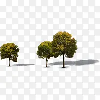 �������ϳ���ľ-������