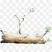 清新插画创意树木-空若网 清新插画创意树木-空若网