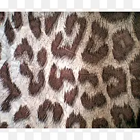 豹纹面料背景-空若网 豹纹面料背景-空若网