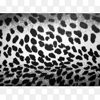 ���Ʋ��ϱ���-������