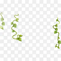 手绘藤叶插画素材-空若网 手绘藤叶插画素材-空若网