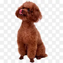 ̩�Ϲ���ͼƬ-������