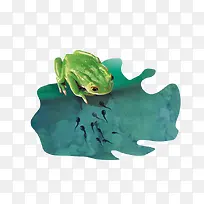 青蛙和蝌蚪-空若网 青蛙和蝌蚪-空若网