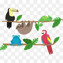 矢量热带动物-空若网 矢量热带动物-空若网