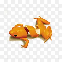 创意橘子青蛙-空若网 创意橘子青蛙-空若网