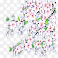 高清摄影手绘挑花效果图-空若网 高清摄影手绘挑花效果图-空若网