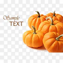 �Ϲ��߲�-������