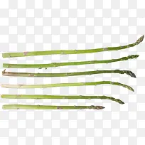 竹笋-空若网 竹笋-空若网