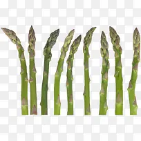 笋-空若网 笋-空若网