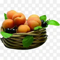 �����߲�ˮ������-������