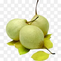 生鲜梨子蔬菜水果-空若网 生鲜梨子蔬菜水果-空若网