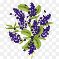 ޹�²ݻ���-������