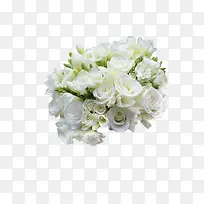 白色花簇实物-空若网 白色花簇实物-空若网