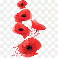 曼塞服饰服装顶级时尚-牡丹-空若网 曼塞服饰服装顶级时尚-牡丹-空若网