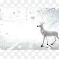 ���⿨ͨ��������ʥ����-������