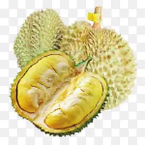 榴莲-空若网 榴莲-空若网
