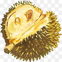 彩绘水果榴莲-空若网 彩绘水果榴莲-空若网