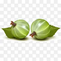 Êß²Ë ÂÌÉ«Êß²Ë »¨²Ë ÂÌÒ¶-¿ÕÈôÍø Êß²Ë ÂÌÉ«Êß²Ë »¨²Ë ÂÌÒ¶-¿ÕÈôÍø