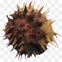 食物-空若网 食物-空若网