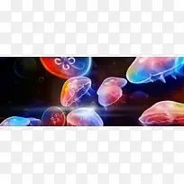 ˮĸ����-������