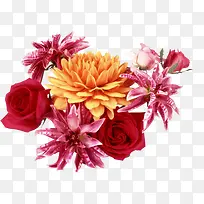 ��ɫʱ��ʢ����������-������