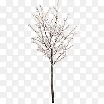 ��ɫ��-������