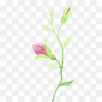 滕曼水彩枝条-空若网 滕曼水彩枝条-空若网