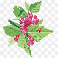 覆盆子果樱桃食品-浆果-空若网 覆盆子果樱桃食品-浆果-空若网