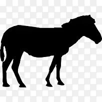 马的轮廓图标-空若网 马的轮廓图标-空若网