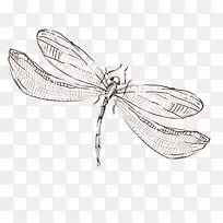 òßòÑ-¿ÕÈôÍø òßòÑ-¿ÕÈôÍø