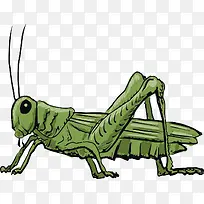 蛐蛐矢量-空若网 蛐蛐矢量-空若网