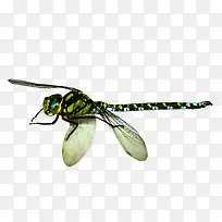 ����-������