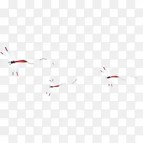 ¿¨Í¨òßòÑ-¿ÕÈôÍø ¿¨Í¨òßòÑ-¿ÕÈôÍø