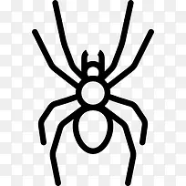 大蜘蛛图标-空若网 大蜘蛛图标-空若网